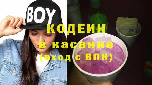 шишки Нязепетровск