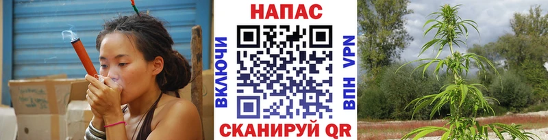 Канабис сатива  как найти закладки  Кудымкар 